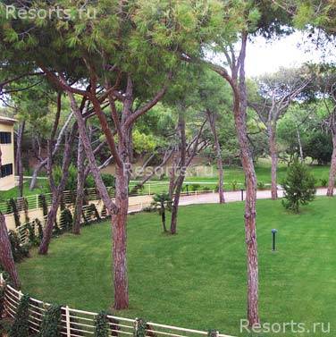 Tombolo Talasso Resort 6